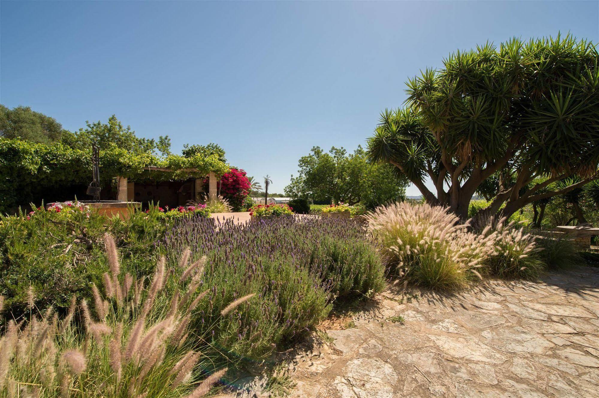 Hotel Rural Can Feliu Porreres Ngoại thất bức ảnh